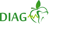 Logo Diagdent wg