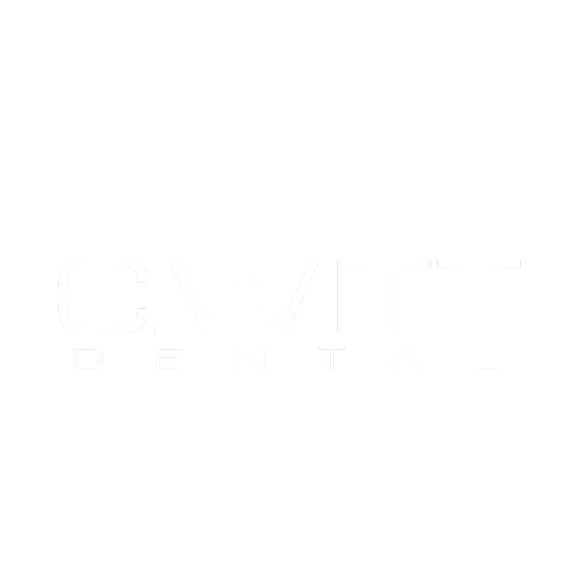 logo CWITT RGB kontra _przezr